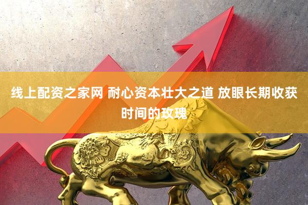 线上配资之家网 耐心资本壮大之道 放眼长期收获时间的玫瑰