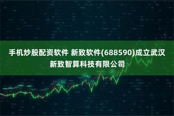 手机炒股配资软件 新致软件(688590)成立武汉新致智算科技有限公司